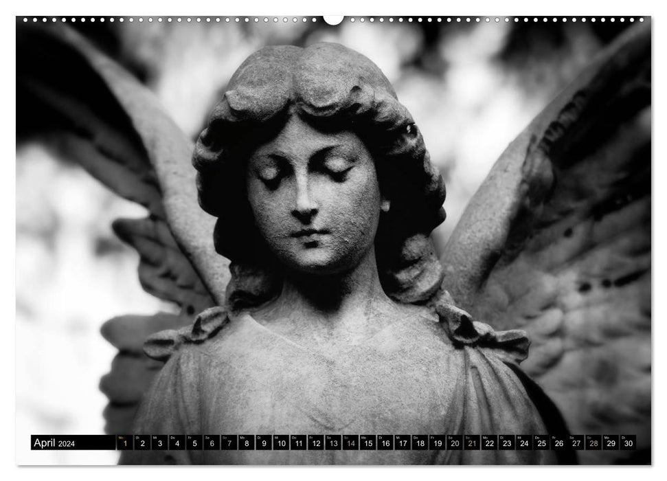 Angel dreams (CALVENDO wall calendar 2024) 