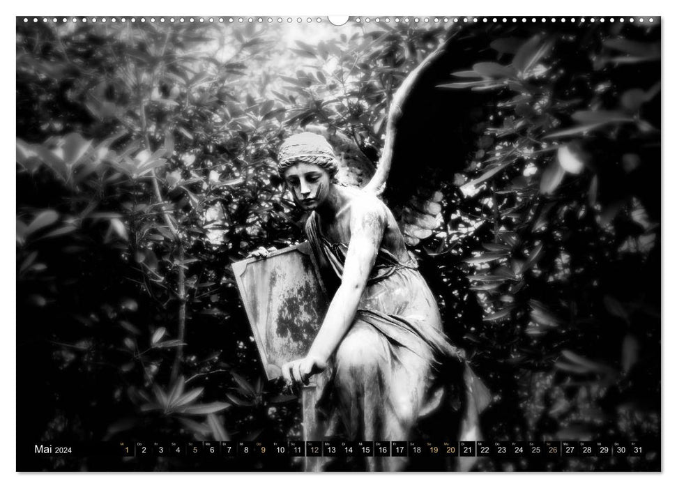 Angel dreams (CALVENDO wall calendar 2024) 