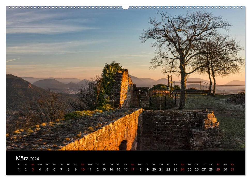 Mystical Palatinate Forest (CALVENDO Premium Wall Calendar 2024) 