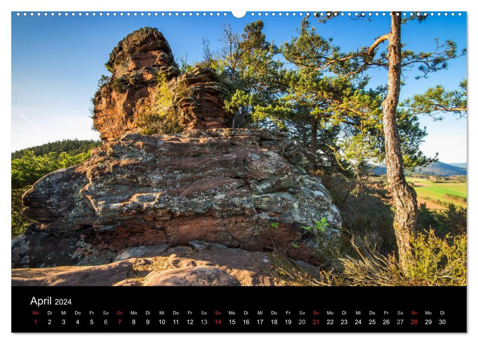 Mystical Palatinate Forest (CALVENDO Premium Wall Calendar 2024) 