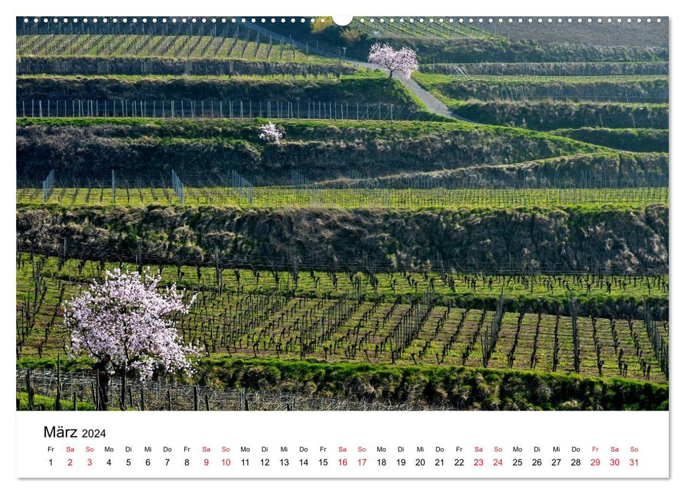 Impressionen vom Kaiserstuhl (CALVENDO Premium Wandkalender 2024)