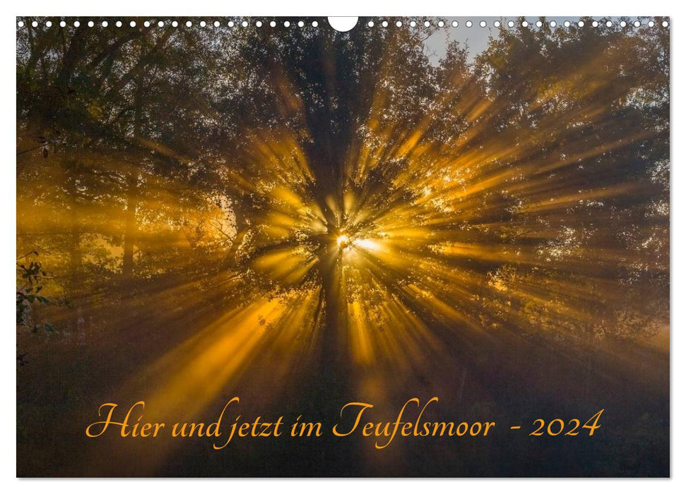 Here and now in Teufelsmoor - 2024 (CALVENDO wall calendar 2024) 