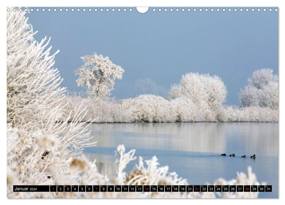 Here and now in Teufelsmoor - 2024 (CALVENDO wall calendar 2024) 