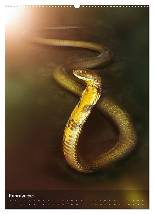 Snakes in the light window of the jungle (CALVENDO Premium Wall Calendar 2024) 