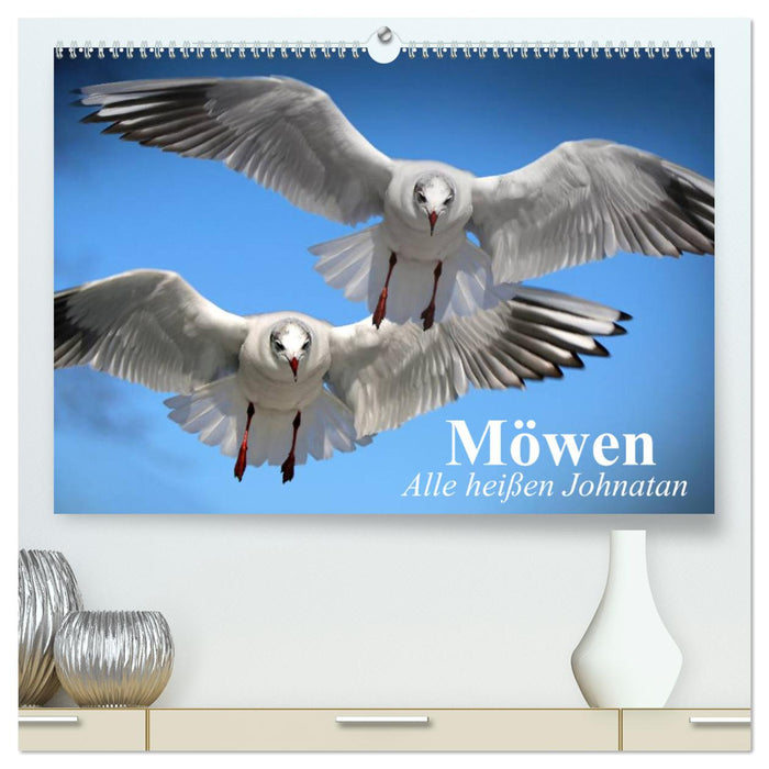 Seagulls. Everyone is called Johnatan (CALVENDO Premium Wall Calendar 2024) 