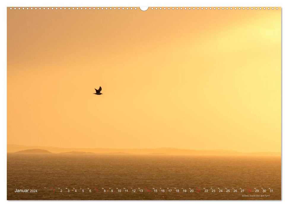 Hurtigruten im Winter - Hunting the light (CALVENDO Premium Wandkalender 2024)