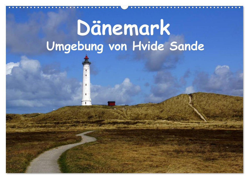 Denmark - Surroundings of Hvide Sande (CALVENDO wall calendar 2024) 