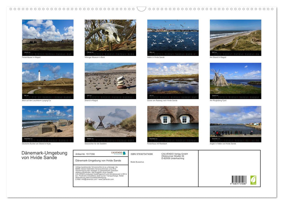 Denmark - Surroundings of Hvide Sande (CALVENDO wall calendar 2024) 