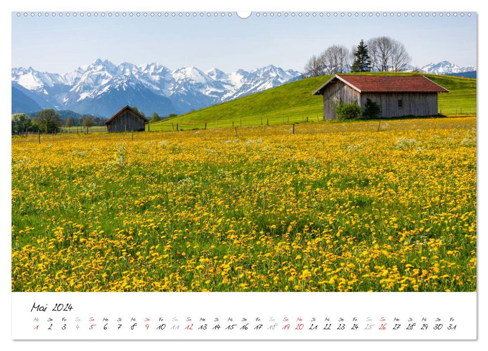 Paysage de l'Oberallgäu (Calendrier mural CALVENDO Premium 2024) 