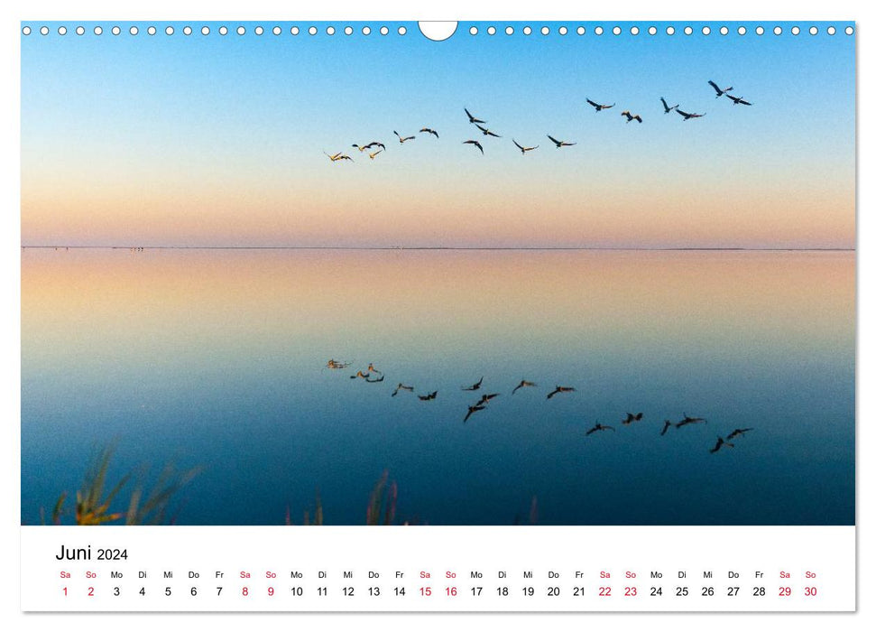 Migration of the Cranes (CALVENDO Wall Calendar 2024) 