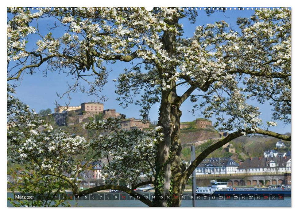 Koblenz The city at the German Corner (CALVENDO wall calendar 2024) 