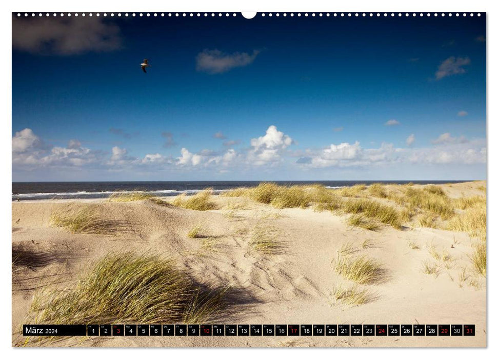 Spiekeroog Island (CALVENDO wall calendar 2024) 