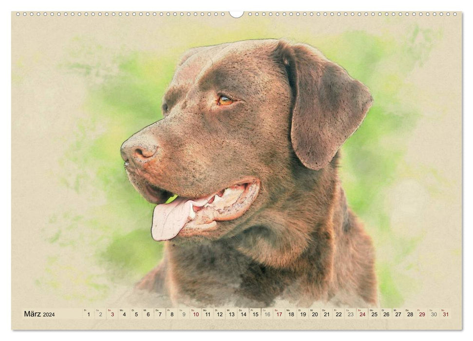 Labrador Retriever 2024 (CALVENDO Premium Wandkalender 2024)