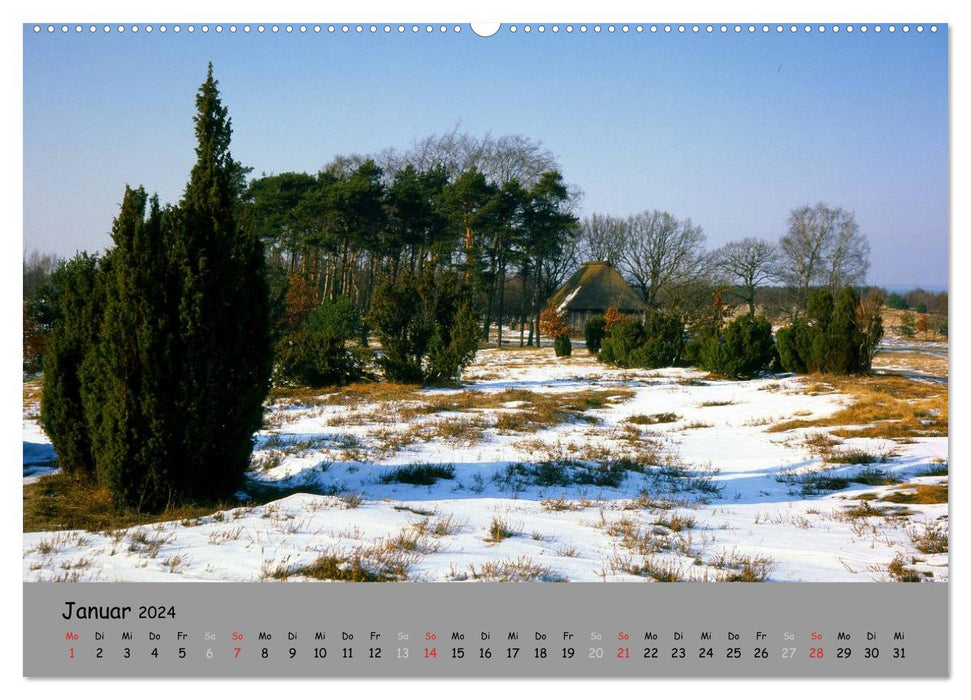 Lüneburger Heide - schön zu jeder Jahreszeit (CALVENDO Premium Wandkalender 2024)