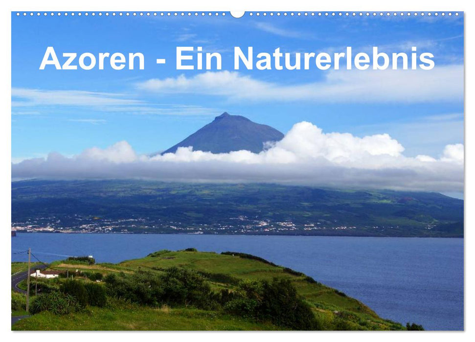 Azoren - Ein Naturerlebnis (CALVENDO Wandkalender 2024)
