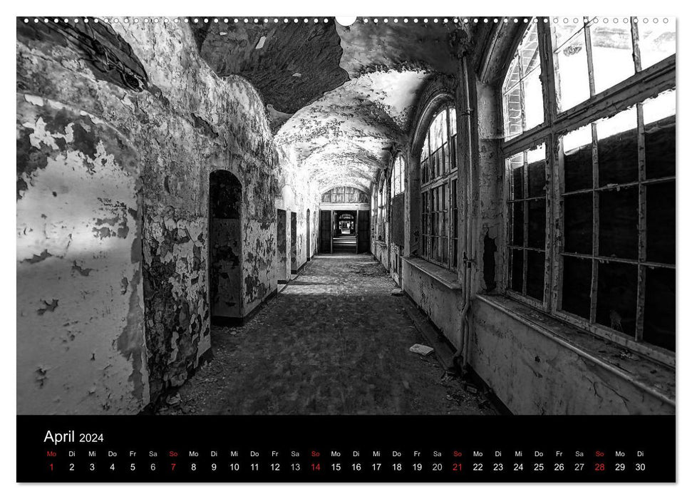 lost beauty (CALVENDO Wandkalender 2024)