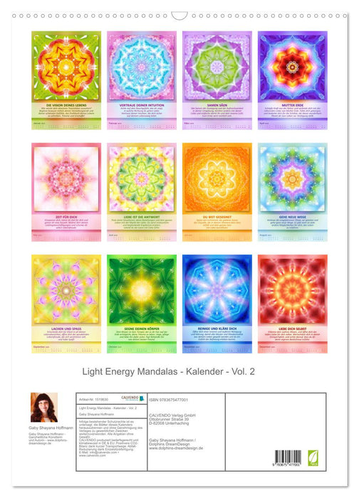 Light Energy Mandalas - Kalender - Vol. 2 (CALVENDO Wandkalender 2024)