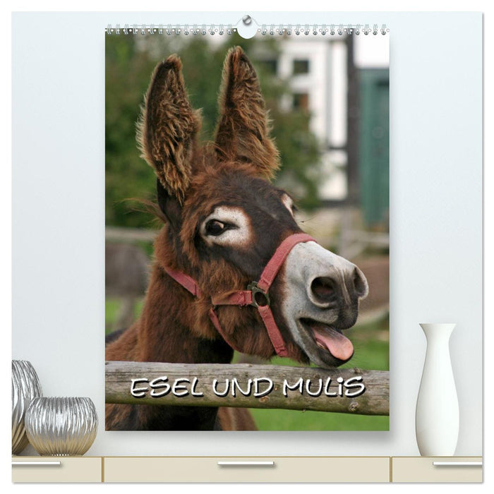 Esel und Mulis (CALVENDO Premium Wandkalender 2024)