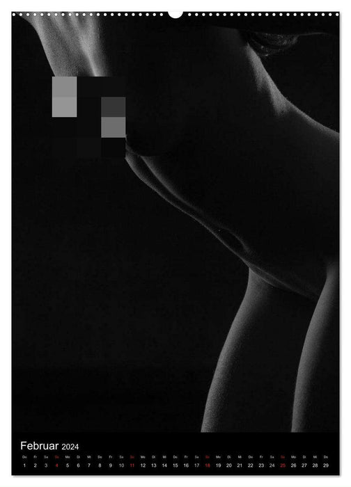Erotische Silhouetten / CH-Version (CALVENDO Premium Wandkalender 2024)