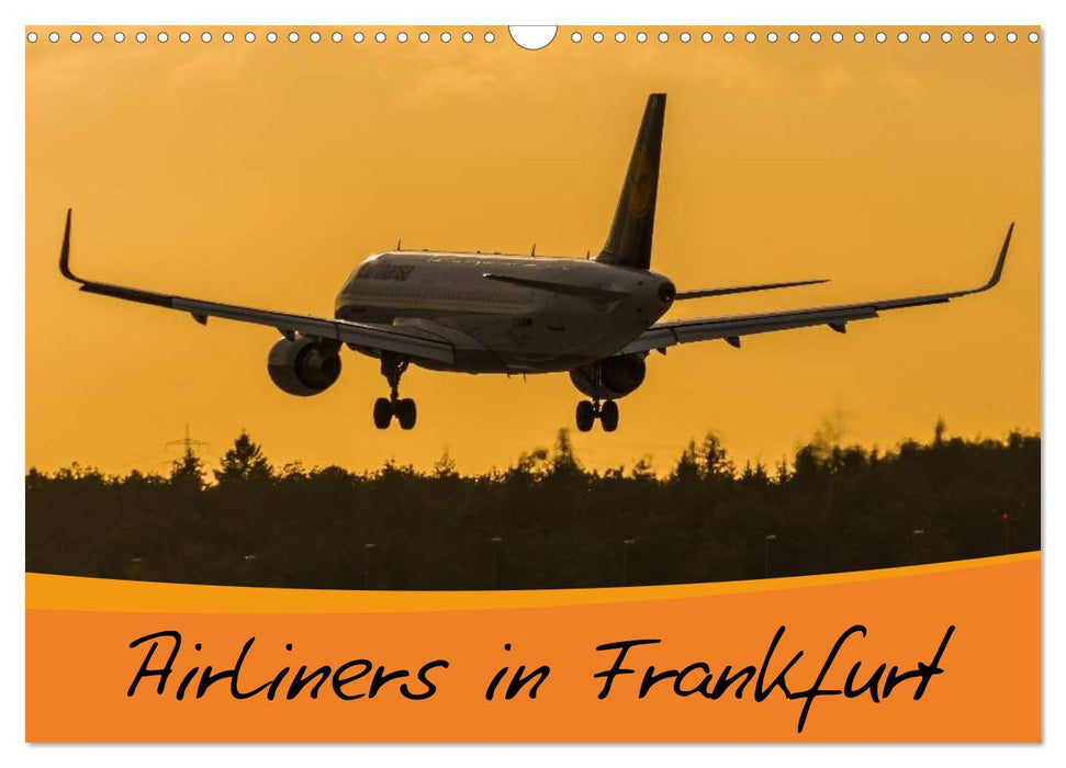 Airliners in Frankfurt (CALVENDO Wandkalender 2024)