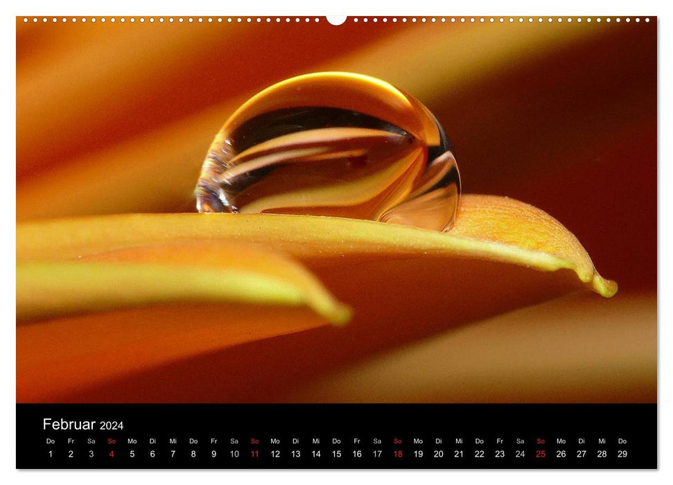 Kalender (CALVENDO Premium Wandkalender 2024)