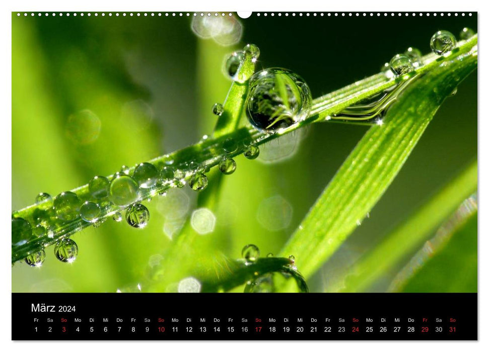 Kalender (CALVENDO Premium Wandkalender 2024)