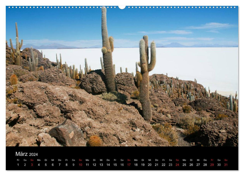 Bolivie (Calendrier mural CALVENDO 2024) 