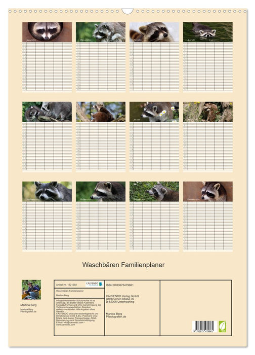 Waschbären Familienplaner (CALVENDO Wandkalender 2024)