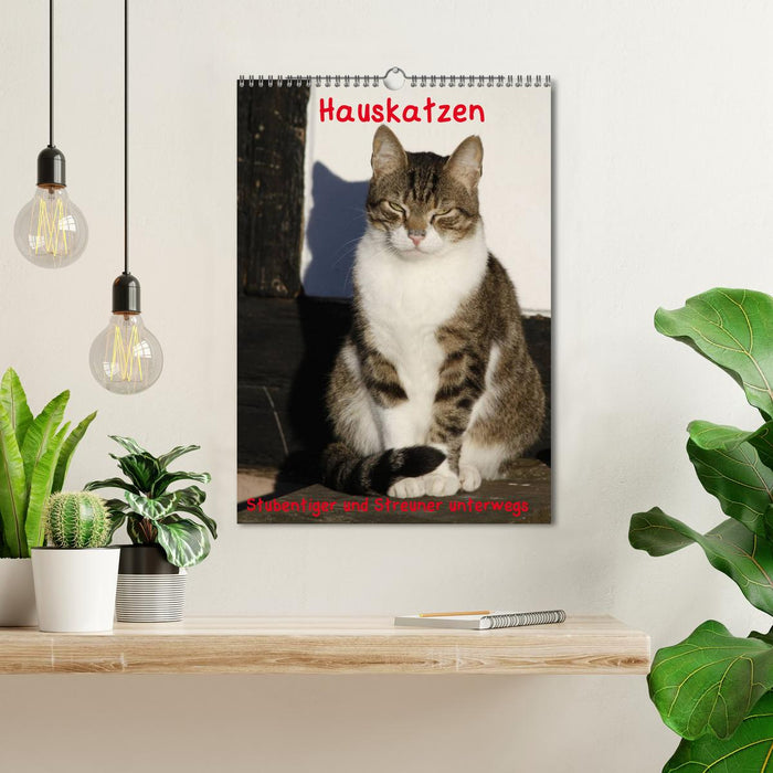 Hauskatzen (CALVENDO Wandkalender 2024)