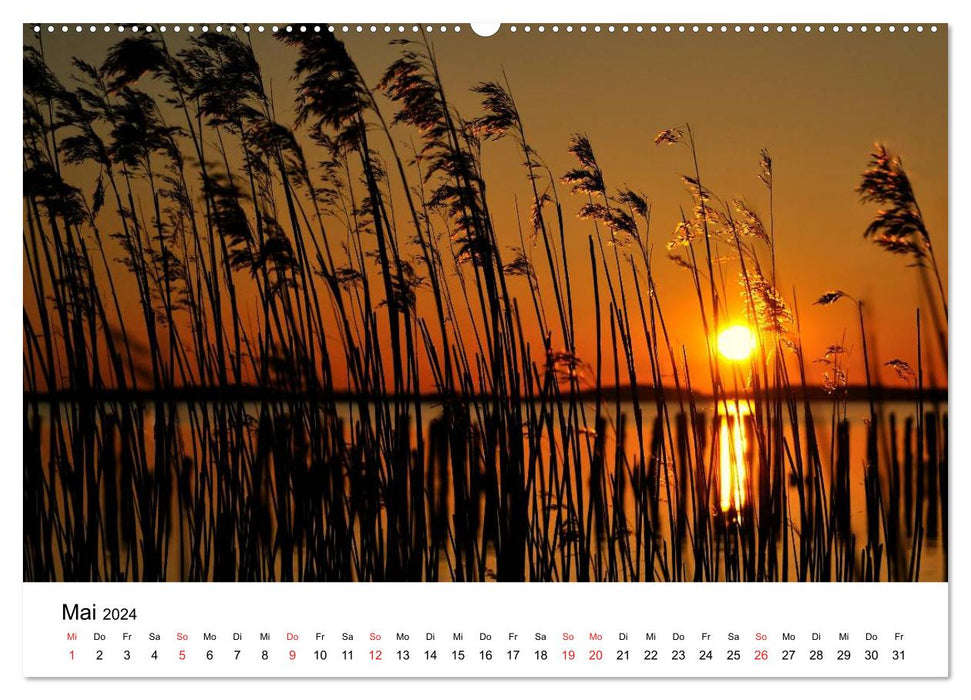 Insel Rügen (CALVENDO Wandkalender 2024)
