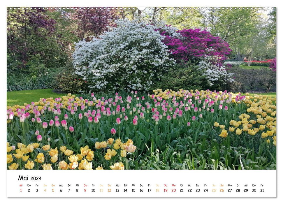 Auf Tour im Land der Tulpen (CALVENDO Premium Wandkalender 2024)