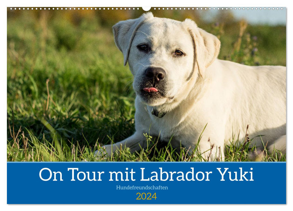 On Tour with Labrador Yuki (CALVENDO wall calendar 2024) 