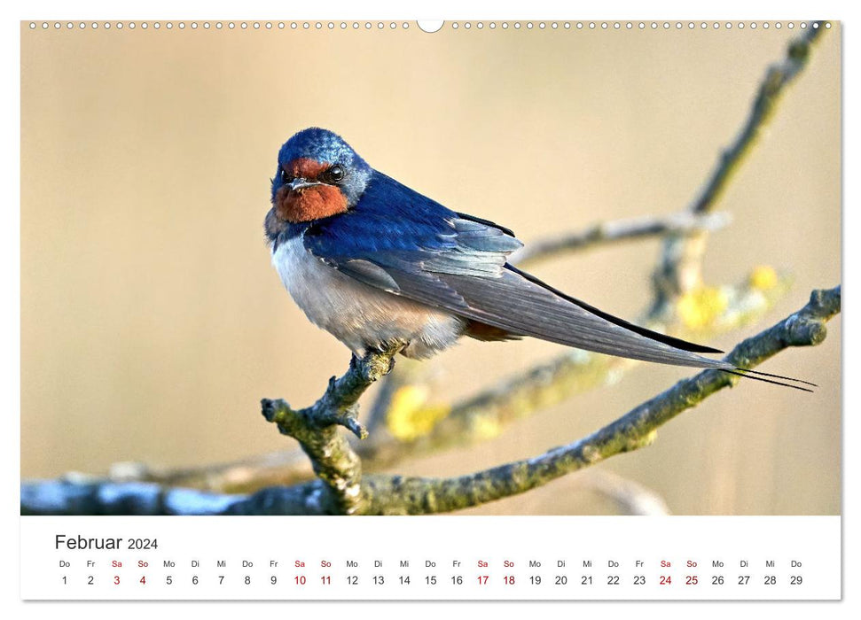 Lucky Charm - On the trail of happiness. (CALVENDO wall calendar 2024) 