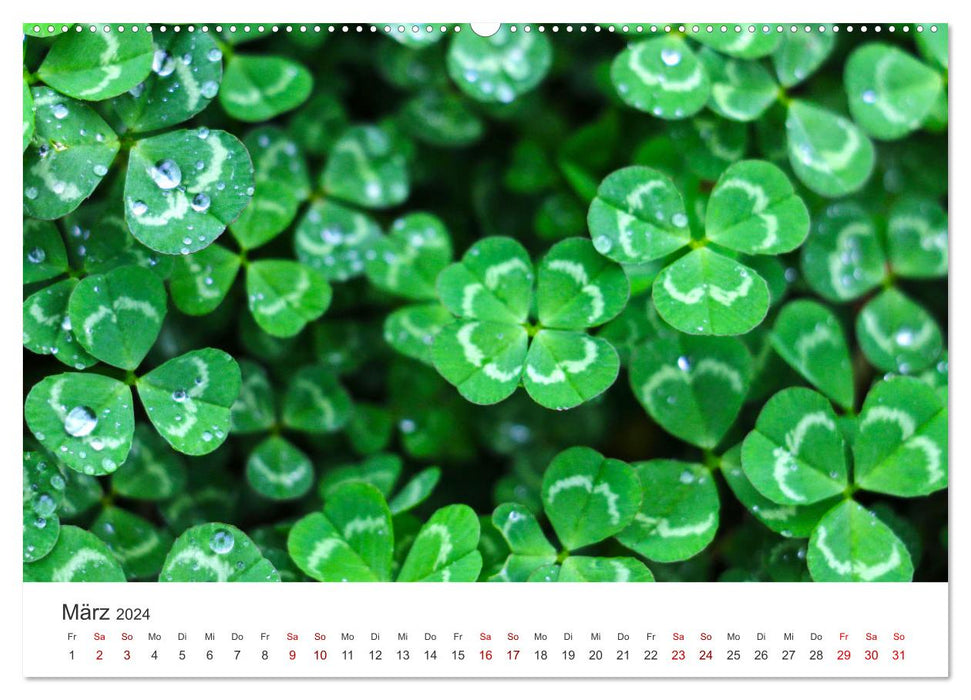 Lucky Charm - On the trail of happiness. (CALVENDO wall calendar 2024) 