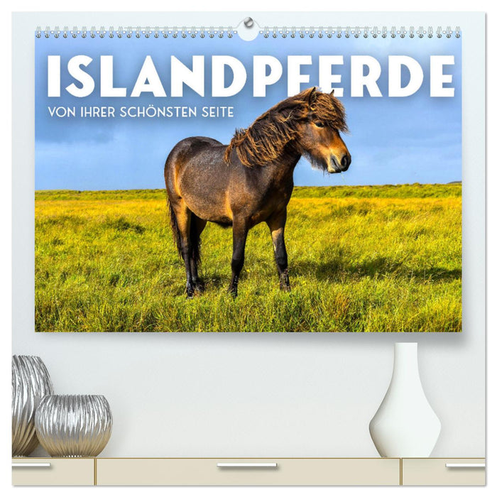 Icelandic horses - at their most beautiful (CALVENDO Premium Wall Calendar 2024) 