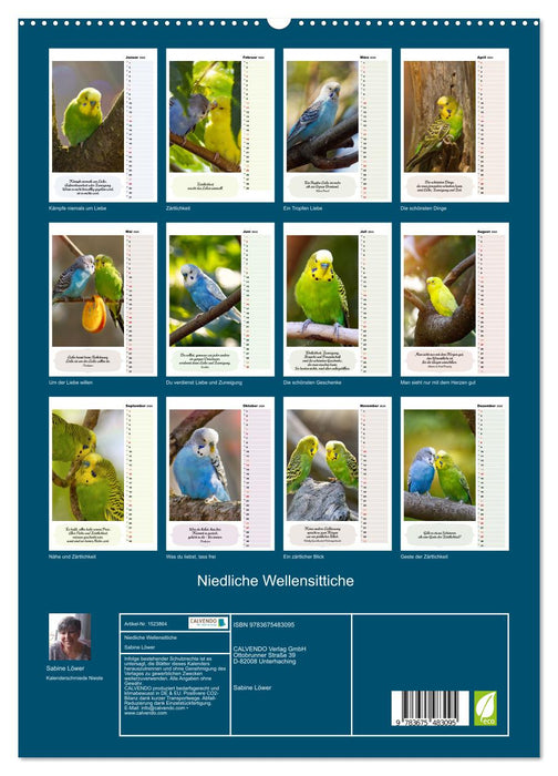 Cute budgies (CALVENDO Premium Wall Calendar 2024) 