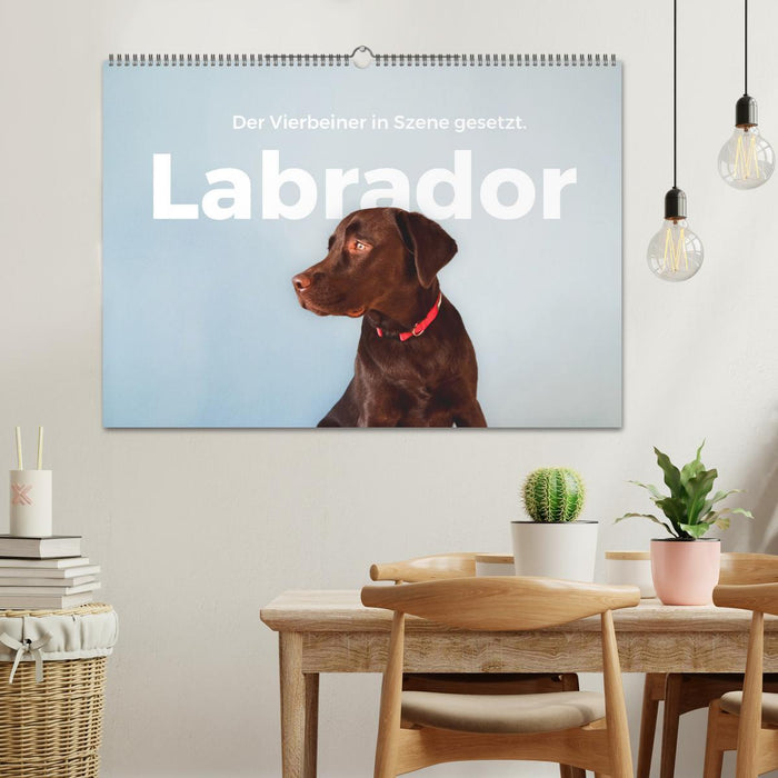 Labrador - The four-legged friend in the spotlight. (CALVENDO wall calendar 2024) 