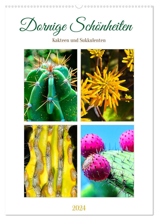 Thorny beauties - cacti and succulents (CALVENDO wall calendar 2024) 