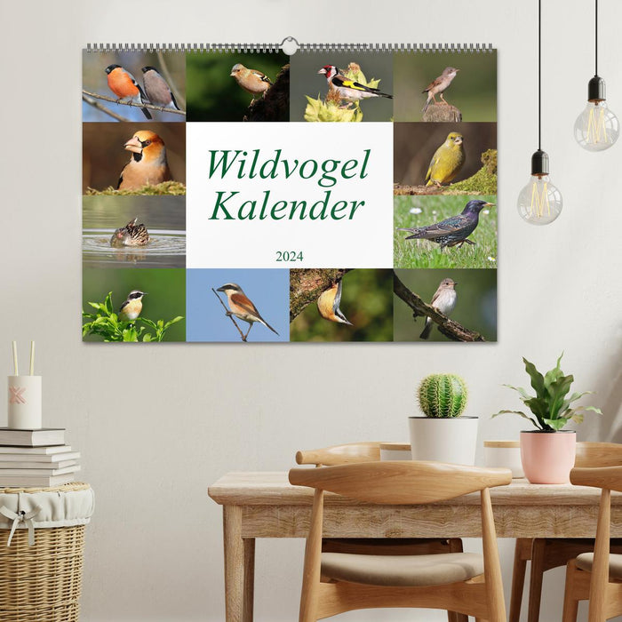 Wild bird calendar (CALVENDO wall calendar 2024) 