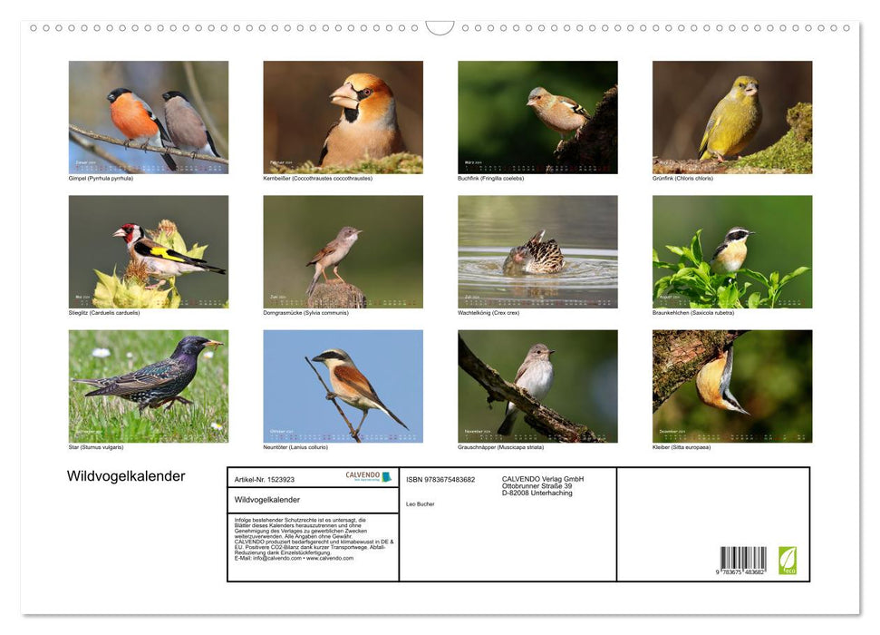 Wildvogelkalender (CALVENDO Wandkalender 2024)