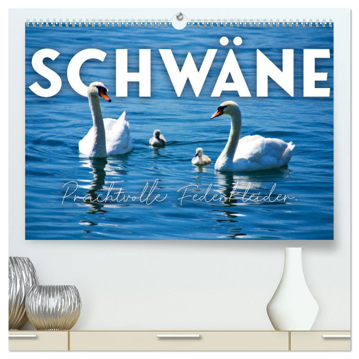 Schwäne - Prachtvolle Federkleider. (CALVENDO Premium Wandkalender 2024)