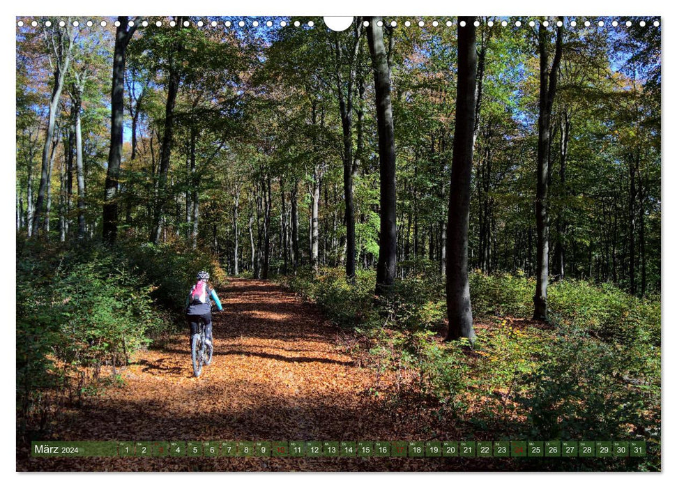 Biken - Impressionen von Rolf Dietz (CALVENDO Wandkalender 2024)