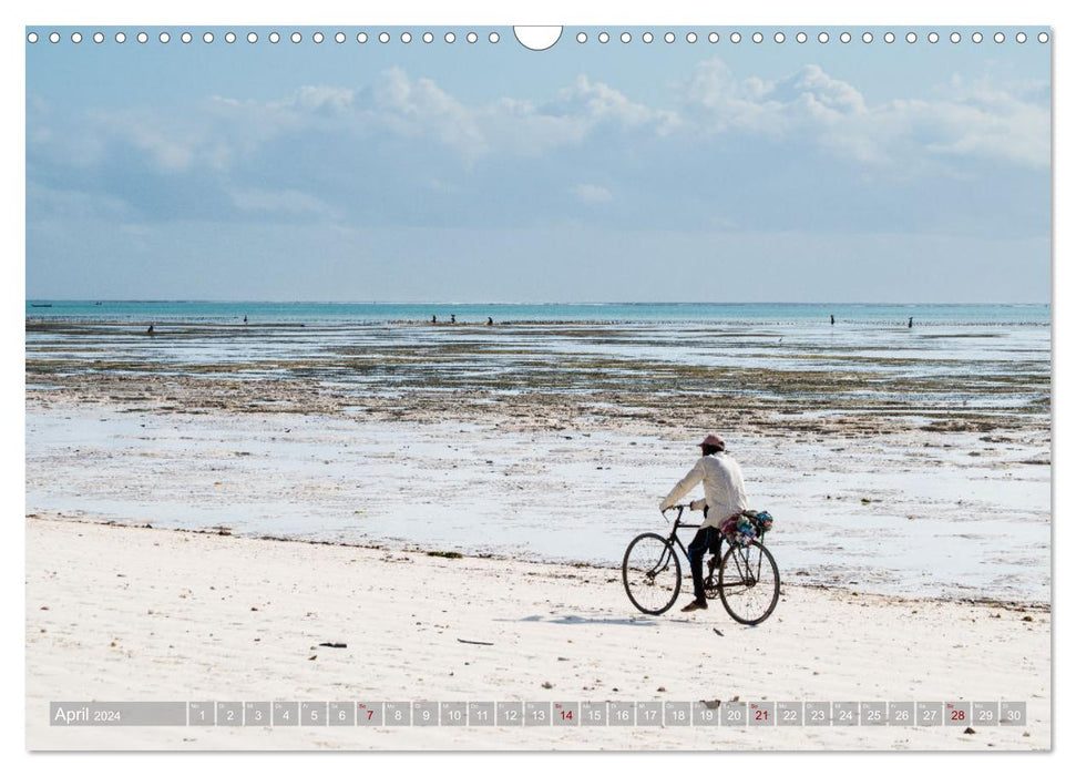 Biken - Impressionen von Rolf Dietz (CALVENDO Wandkalender 2024)