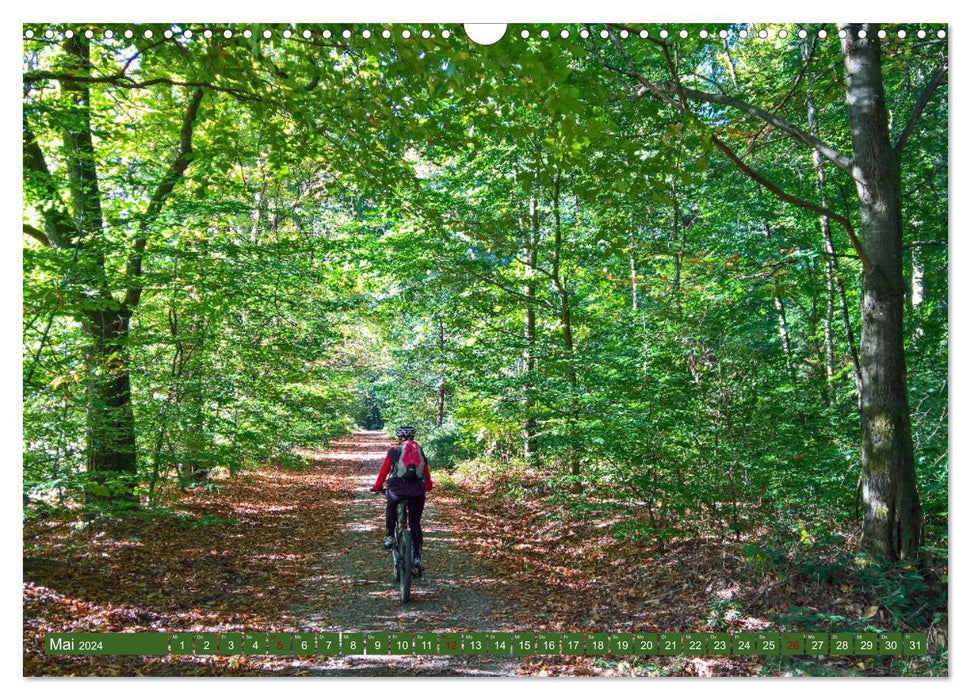 Biken - Impressionen von Rolf Dietz (CALVENDO Wandkalender 2024)