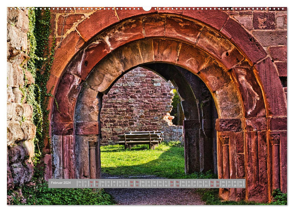 Burg Wildenberg (CALVENDO Premium Wandkalender 2024)