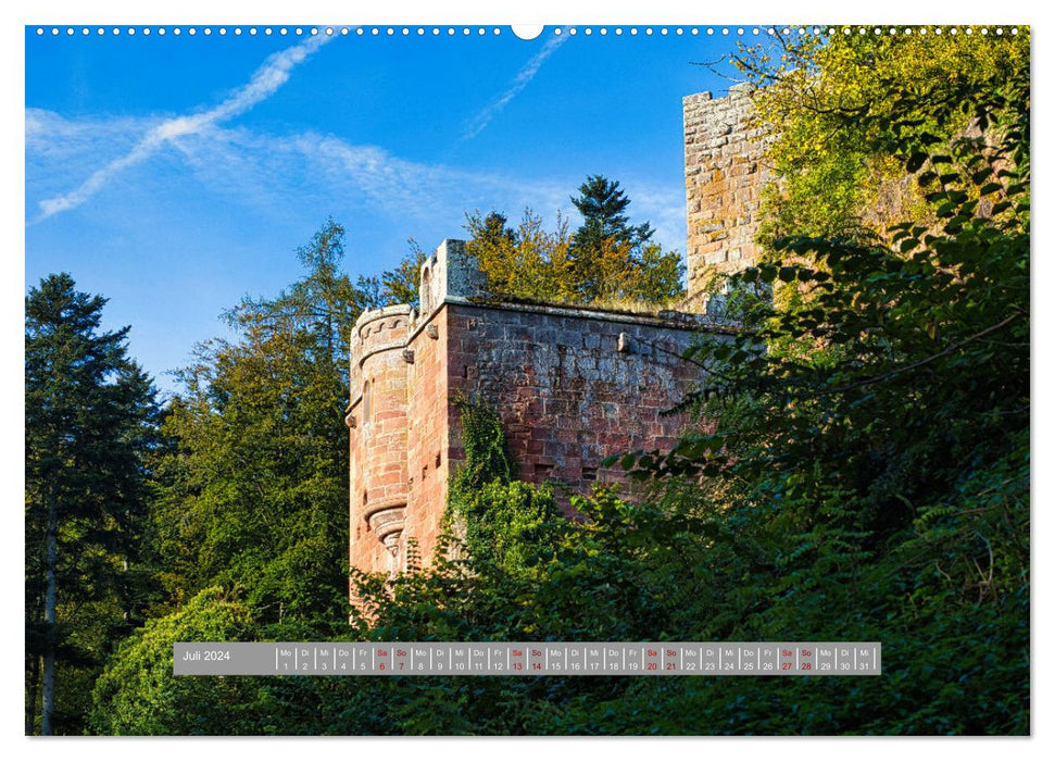 Burg Wildenberg (CALVENDO Premium Wandkalender 2024)