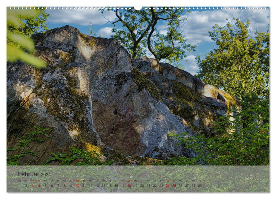 Felsenburg Rotenhan (CALVENDO Premium Wandkalender 2024)