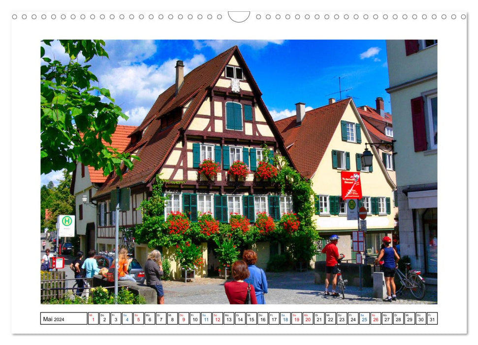 Tübingen im Fokus (CALVENDO Wandkalender 2024)