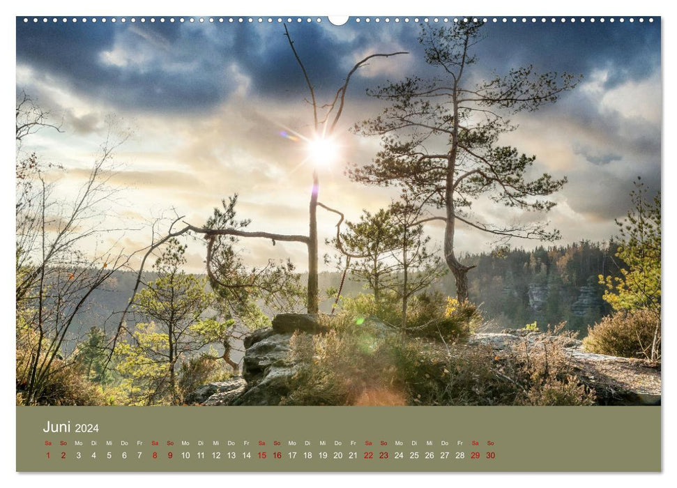 Auf den Bergen der Sächsischen Schweiz (CALVENDO Premium Wandkalender 2024)