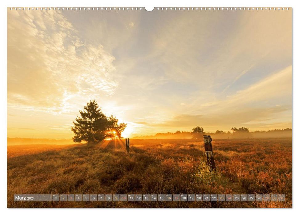 Naturparadies Pfälzerwald (CALVENDO Wandkalender 2024)